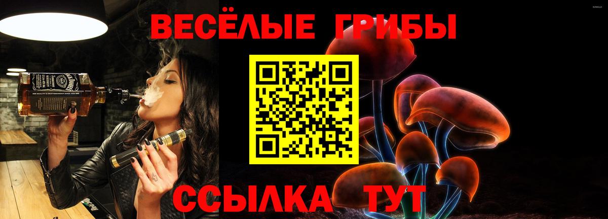 Торжок  Псилоцибиновые грибы мухоморы  купить закладку  Вход с VPN 